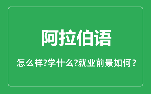 阿拉伯语专业怎么样,阿拉伯语专业主要学什么,就业前景怎么样