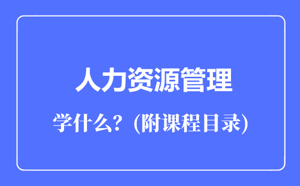 人力资源管理专业主要学什么（附课程目录）