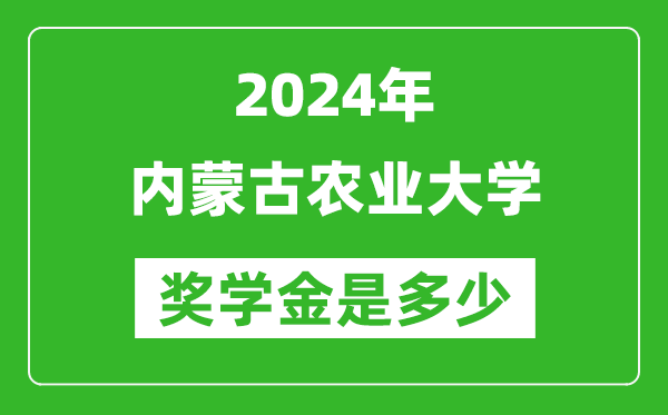 2024年内蒙古农业大学奖学金多少钱,覆盖率是多少？