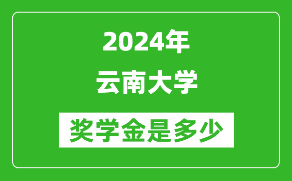 2024年云南大学奖学金多少钱,覆盖率是多少？