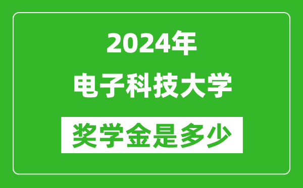 2024年电子科技大学奖学金多少钱,覆盖率是多少？