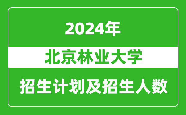 北京林业大学2024年在河南的招生计划和招生人数