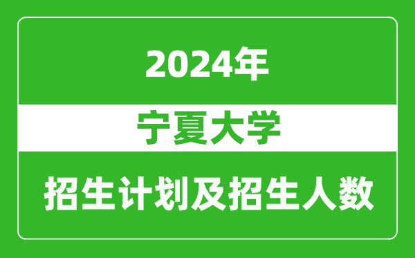 宁夏大学2024年在上海的招生计划及招生人数