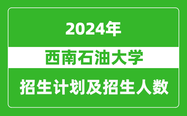 西南石油大学2024年在上海的招生计划及招生人数