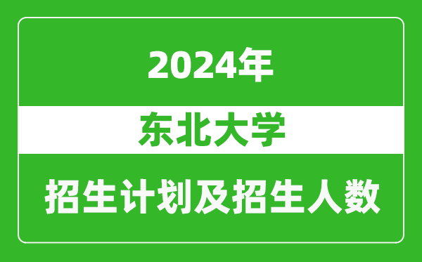 东北大学2024年在上海的招生计划及招生人数