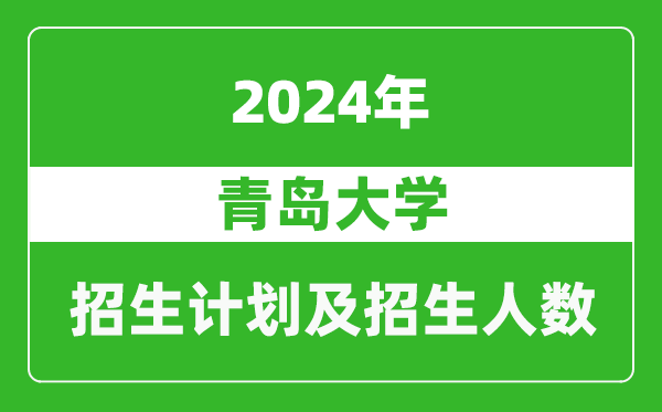 青岛大学2024年在宁夏的招生计划及招生人数