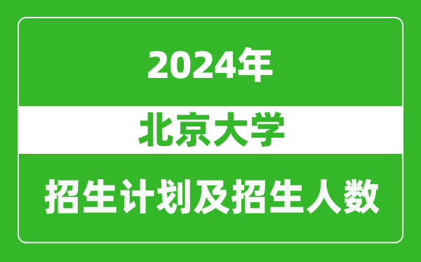 北京大学2024年在宁夏的招生计划及招生人数