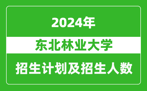 东北林业大学2024年在新疆的招生计划及招生人数