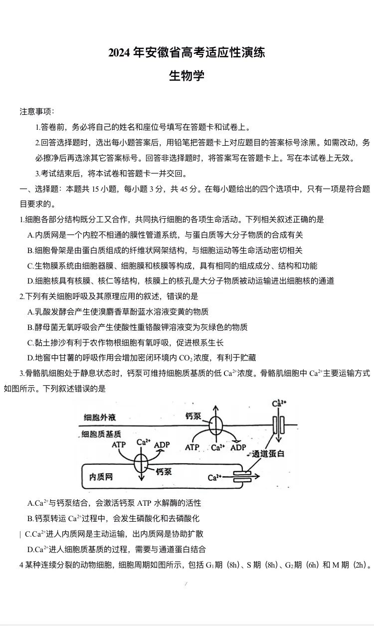 新高考2024七省联考生物试卷及答案解析