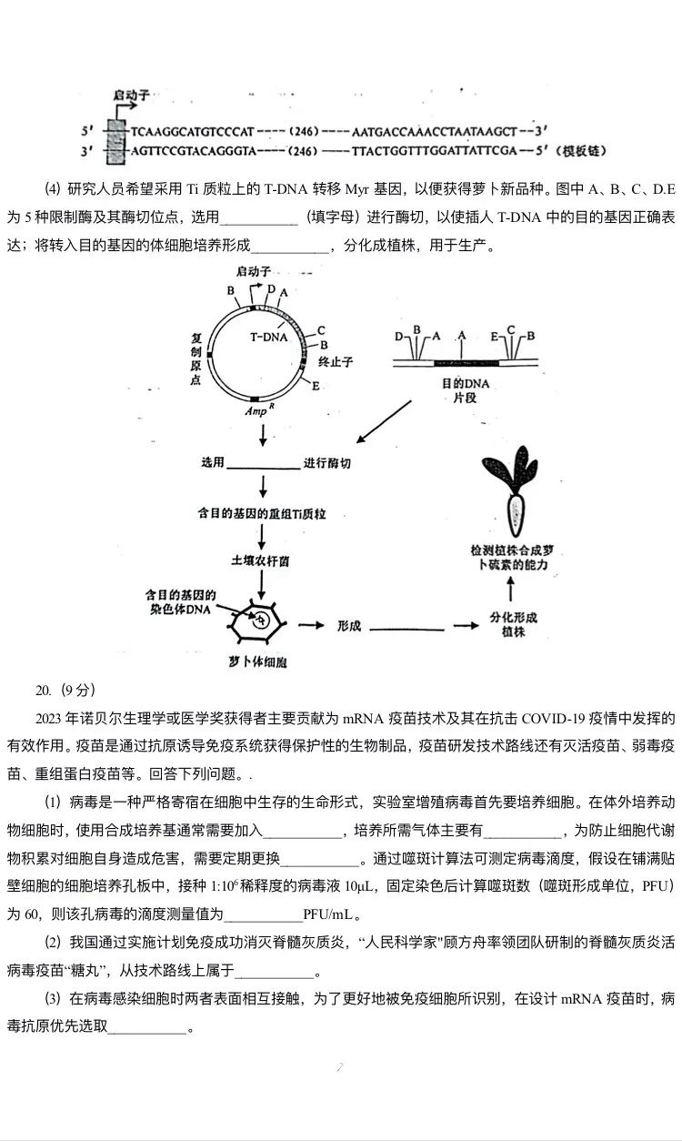 新高考2024七省联考生物试卷及答案解析